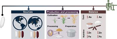 Contextualizing toxic elements in the diet: a case for integration of toxic element data into food databases